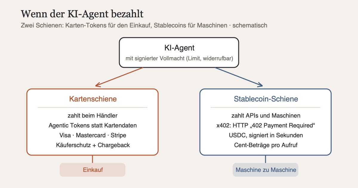 Schaubild: Ein KI-Agent mit signierter Vollmacht bezahlt auf zwei Wegen. Kartenschiene: über Agenten-Tokens von Visa, Mastercard und Stripe beim Händler, ohne die Kartendaten zu sehen. Stablecoin-Schiene: per x402-Protokoll (HTTP 402) zahlt der Agent API-Aufrufe in USDC, Cent-Beträge in Sekunden