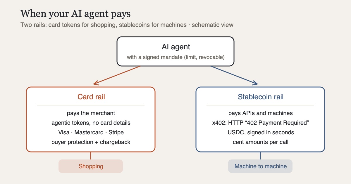 Diagram: an AI agent with a signed mandate pays via two paths. Card rail: through agent tokens from Visa, Mastercard and Stripe at a merchant, without ever seeing the card details. Stablecoin rail: via the x402 protocol (HTTP 402) the agent pays for API calls in USDC, cent amounts within seconds