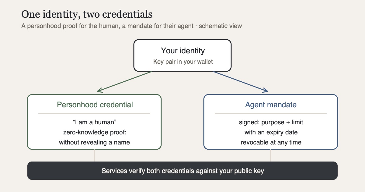 Diagram: a person with an identity wallet in the middle. To the left, the personhood credential (I am a human, proven via zero-knowledge proof without revealing a name); to the right, the signed mandate for the AI agent (purpose, limit, expiry date, revocable at any time). Below, services verify both credentials