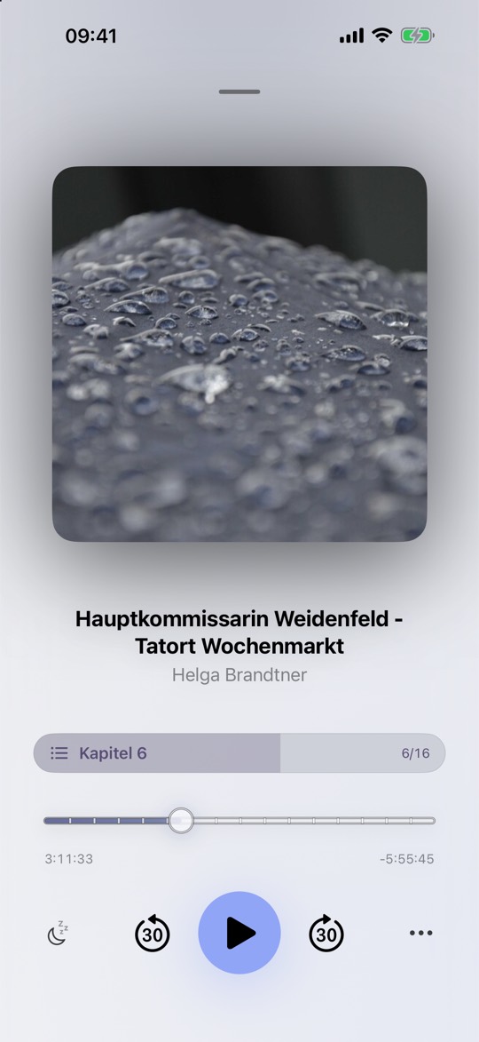 Wiedergabeansicht eines Hörbuchs mit großem Cover, der Anzeige „Kapitel 6“ von 16, Fortschrittsleiste mit Kapitelmarken, verstrichener und verbleibender Zeit sowie Tasten für Sleep Timer und Sprünge um 30 Sekunden