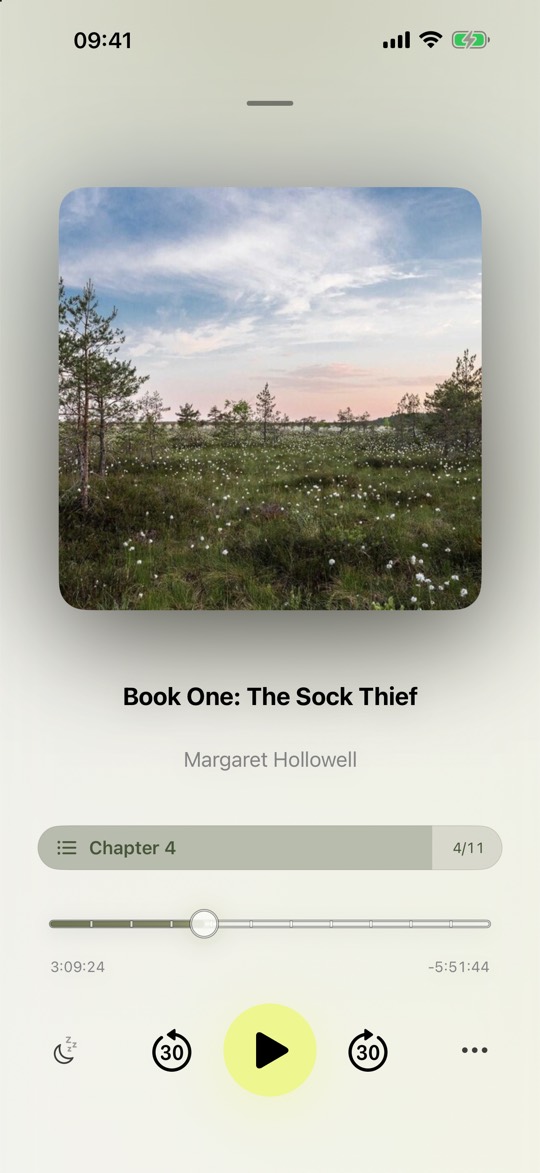 Audiobook player view with large cover art, a chapter indicator reading chapter 6 of 16, a progress bar with chapter marks, elapsed and remaining time, and buttons for the sleep timer and 30 second skips
